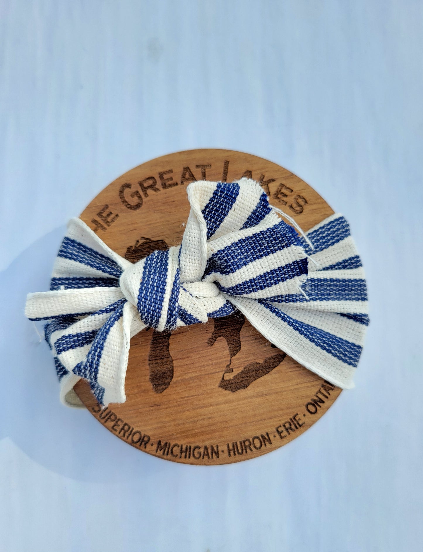 Michigan Themed Coasters